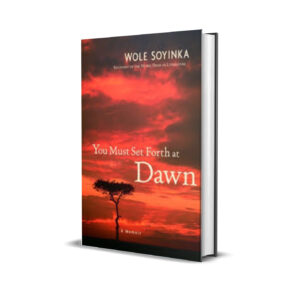 you must set forth at dawn wole soyinka