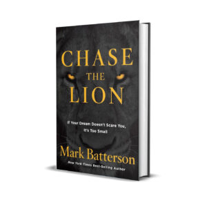 Chase the lion- Mark Batterson