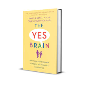 The yes brain