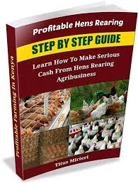 Profitable hens rearing - Titus Mirieri