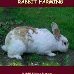 RABBIT HUSBANDRY