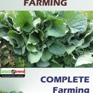 KALES FARMING